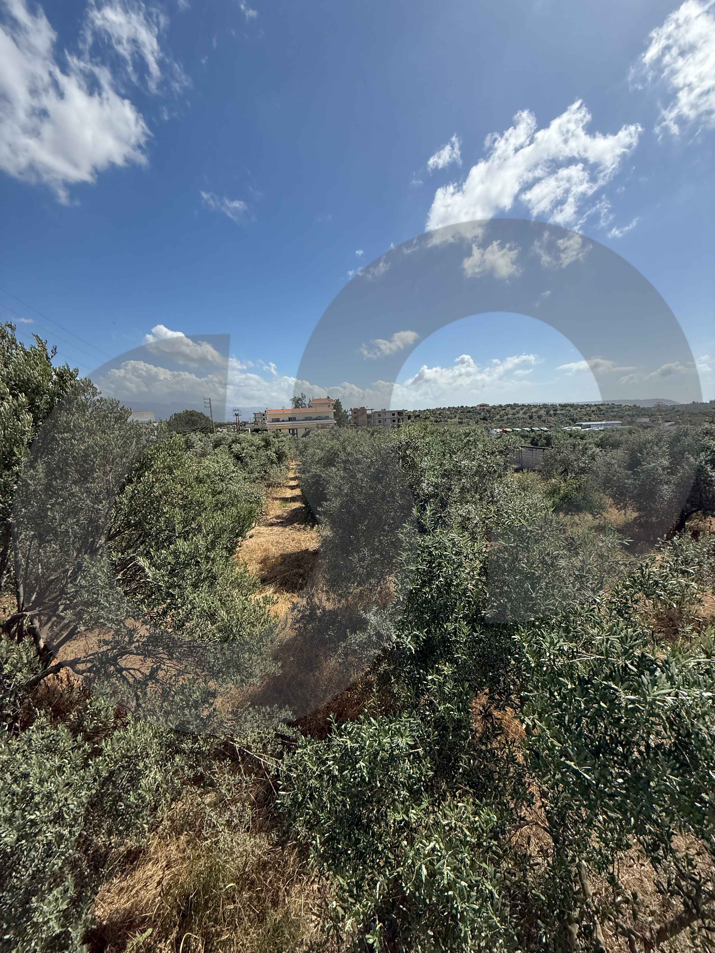LAND / PRIME LOCATION IN ZGHARTA — photo 2