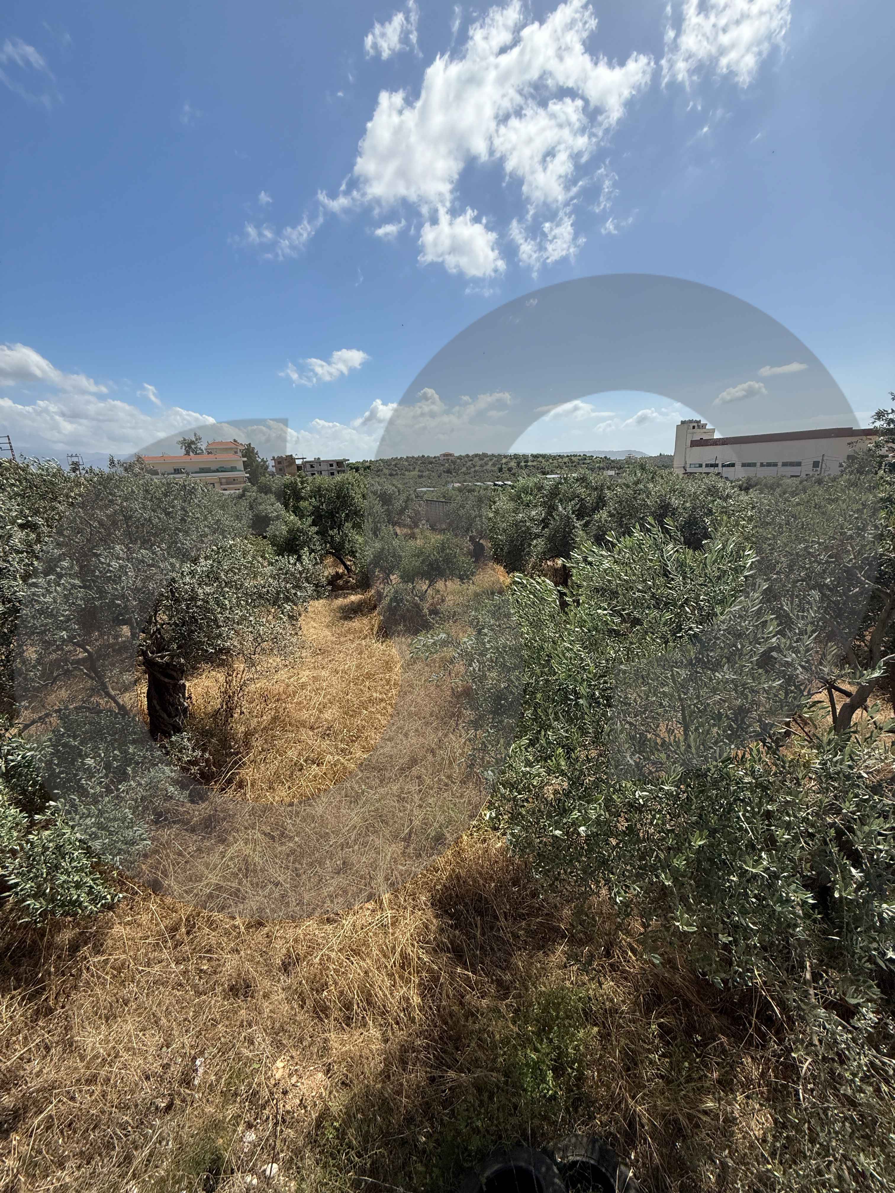 LAND / PRIME LOCATION IN ZGHARTA — photo 3