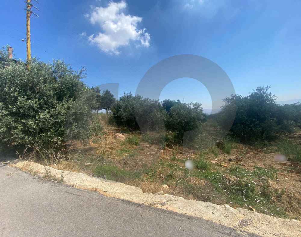 QUIET AREA/LAND/PANORAMIC VIEW/NAKHLEH-KOURA — الصورة 2