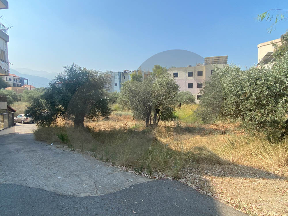 CALM AREA, LAND FOR SALE, ZGHARTA — الصورة 2