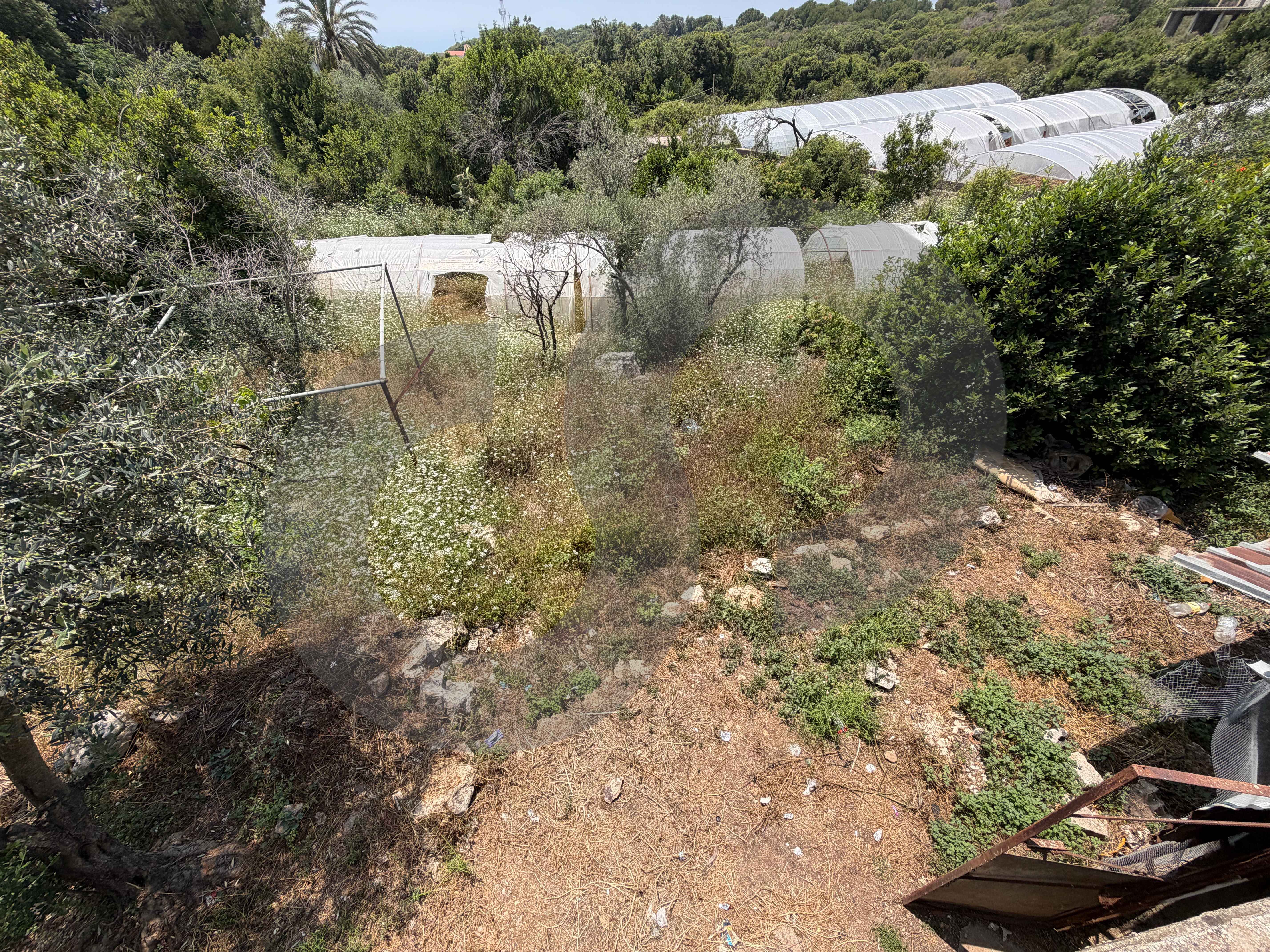 LAND/Eddeh, Jbeil/stunning sea view — الصورة 2