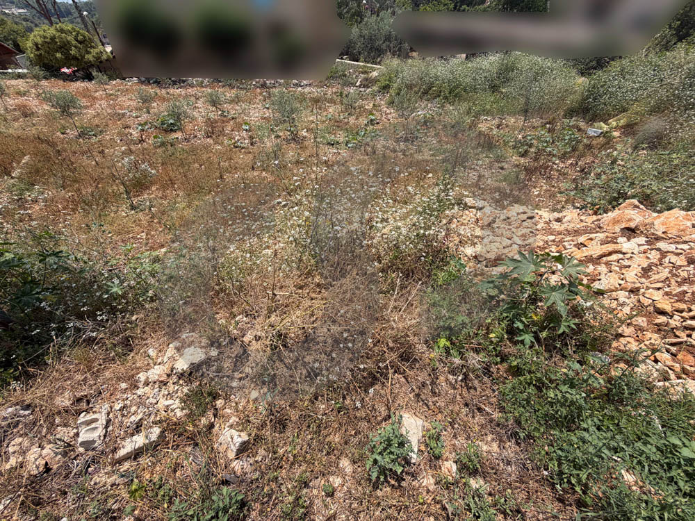 SEA VIEW, LAND FOR SALE, EDDEH-JBEIL — الصورة 2