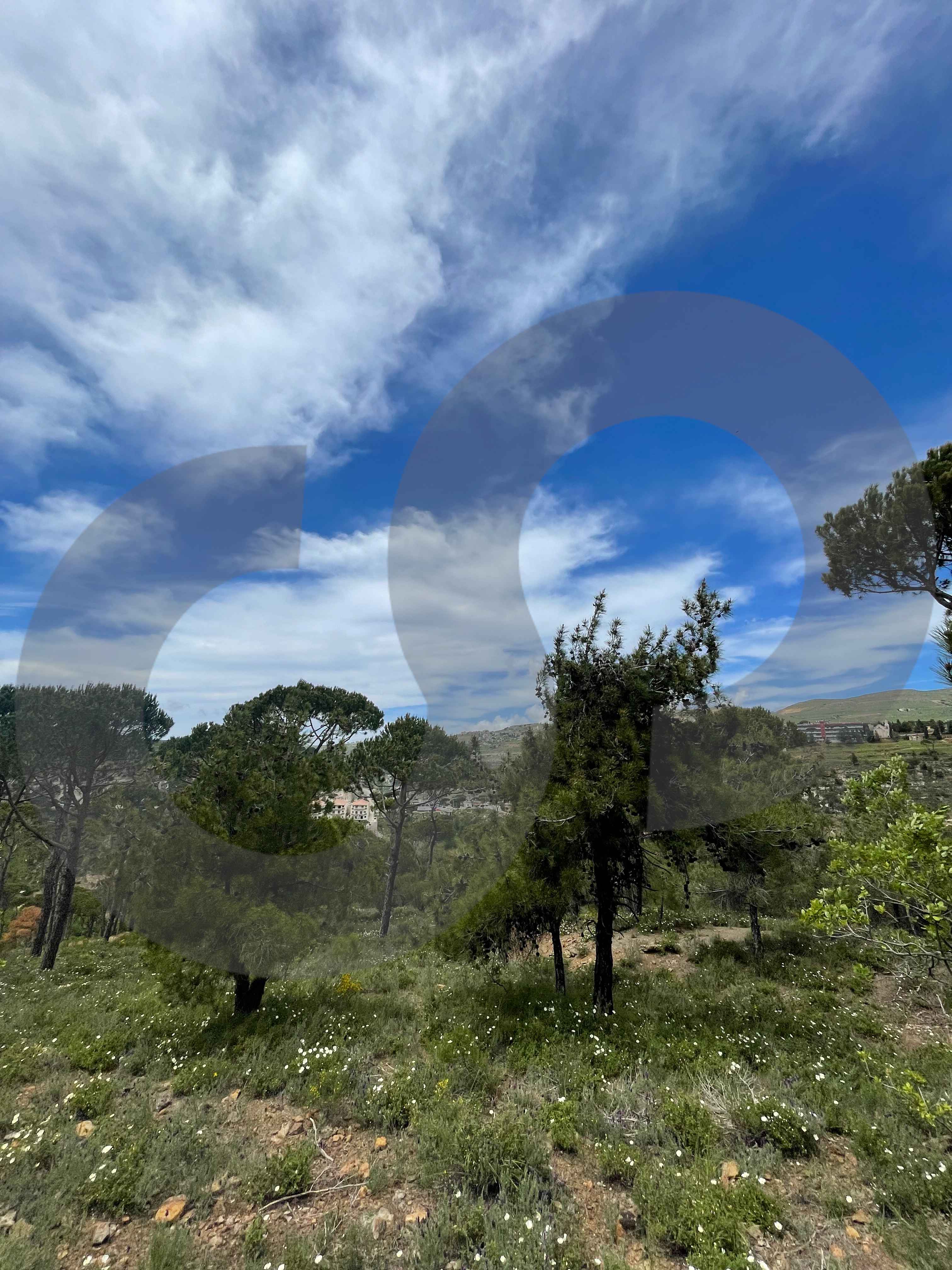 LAND/Bmohray/Aley /high-potential project — الصورة 3