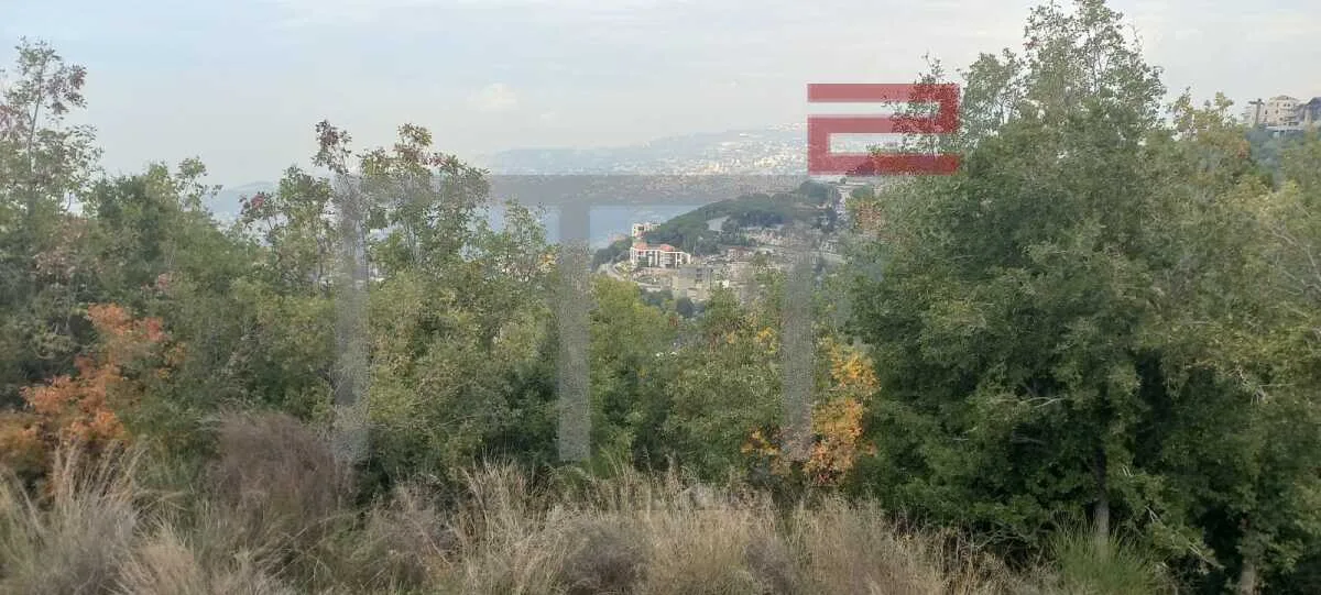 Land for Sale in Bhersaf
