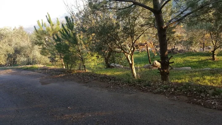 Land for Sale – Zaroun — الصورة 2