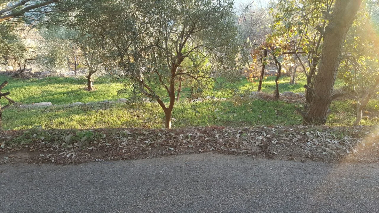 Land for Sale – Zaroun