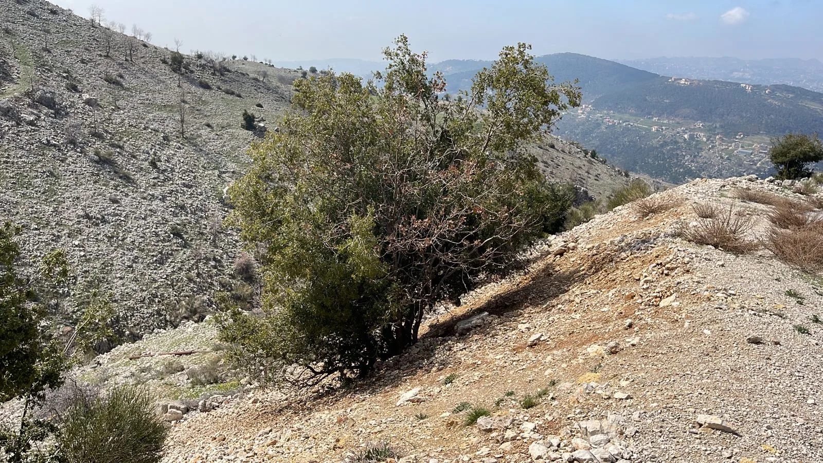 Land for Sale in Zaarour — الصورة 5