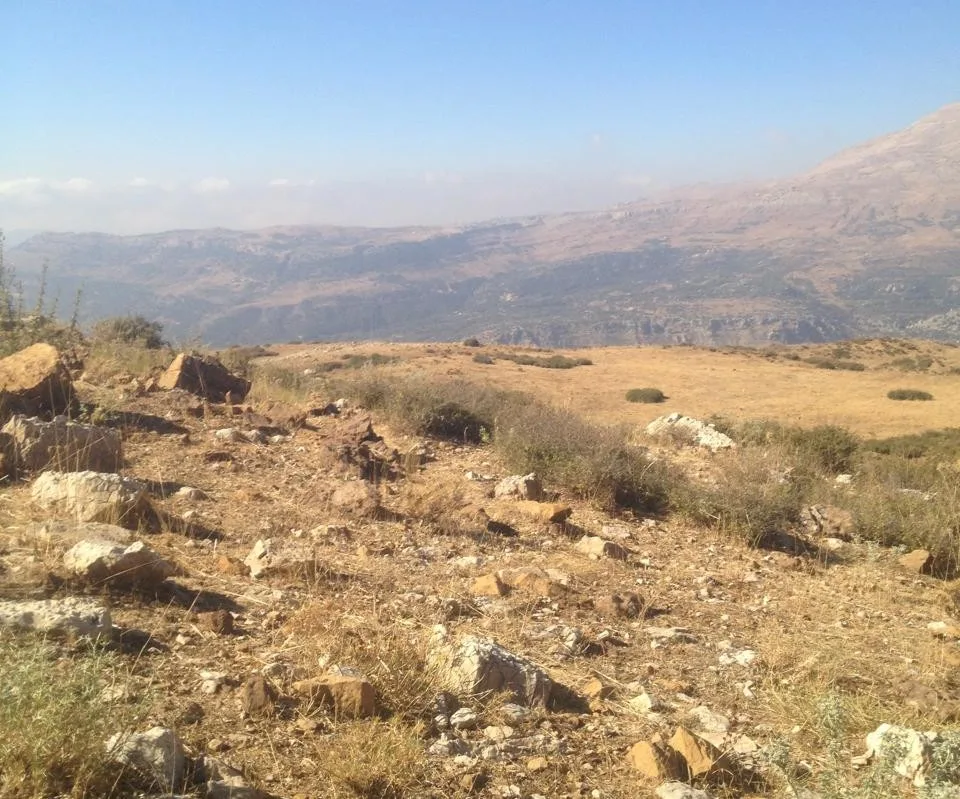 Land for Sale in Mtein — الصورة 3