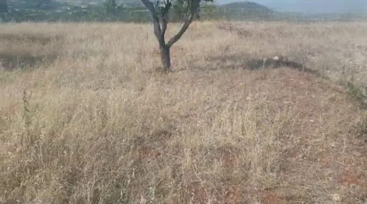 Land for Sale in Zahle – Maalaka — الصورة 3