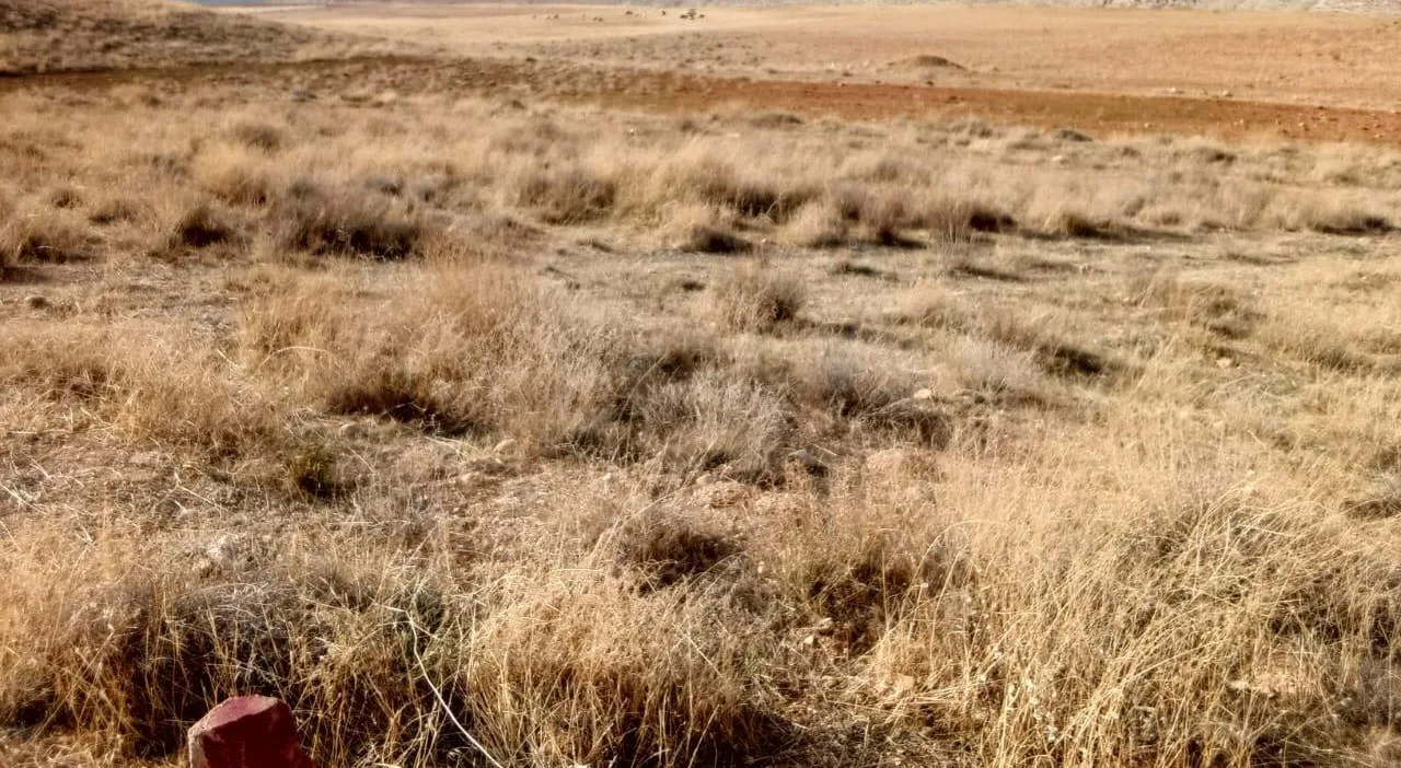 Land for Sale in Bchelli – Jbeil