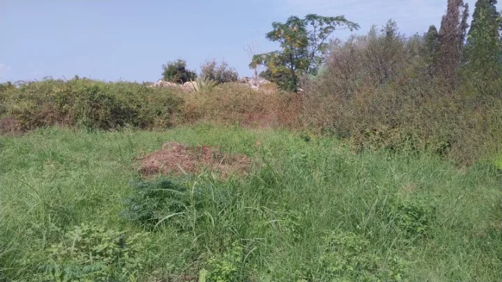 Land for Sale in Batroun — الصورة 2