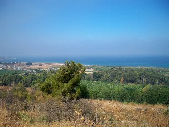 Land for Sale in Damour — الصورة 2
