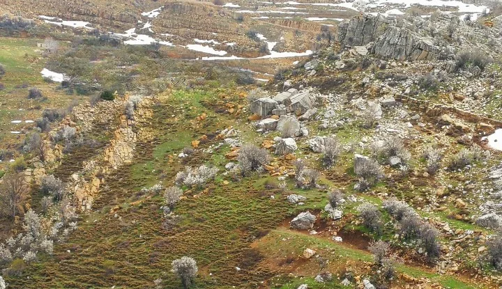 Land for Sale in Tannourine Fawka – Laklouk — الصورة 2