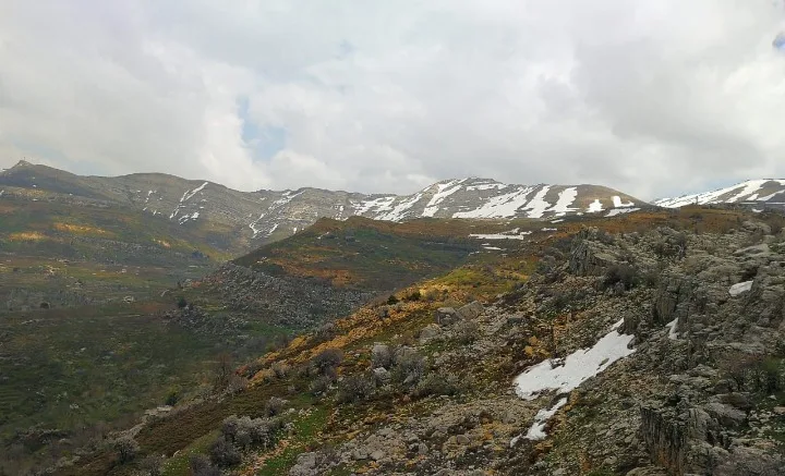 Land for Sale in Tannourine Fawka – Laklouk — الصورة 3