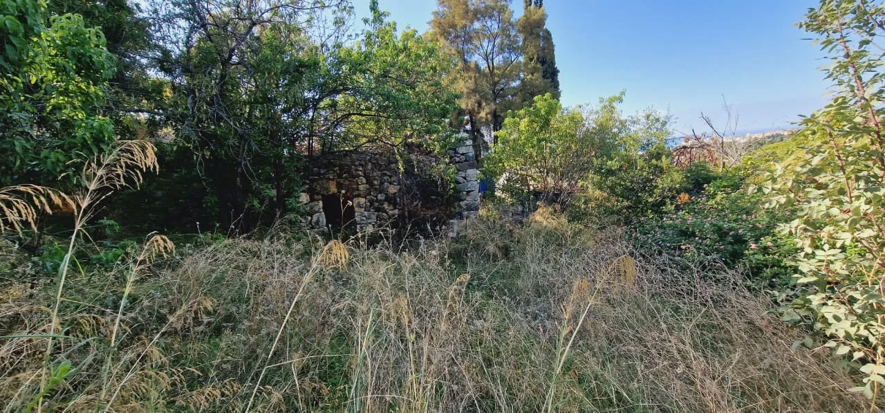 Land for Sale in Batroun, Lebanon — الصورة 5