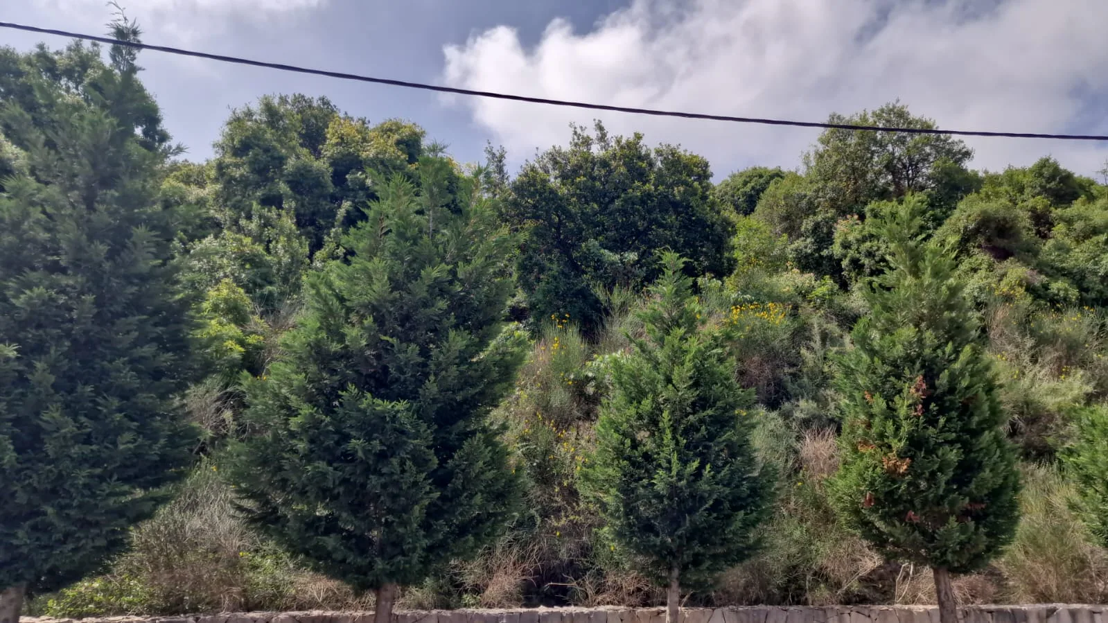 Land for Sale in Ijdabra, Lebanon — الصورة 1