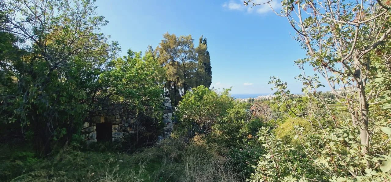 Land for Sale in Batroun, Lebanon — الصورة 2