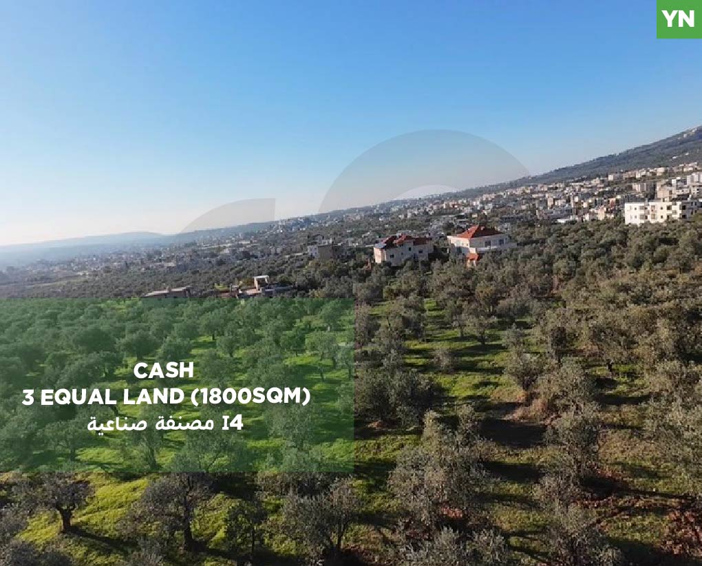 fully planted with mature olive trees, zgharta, rashiin