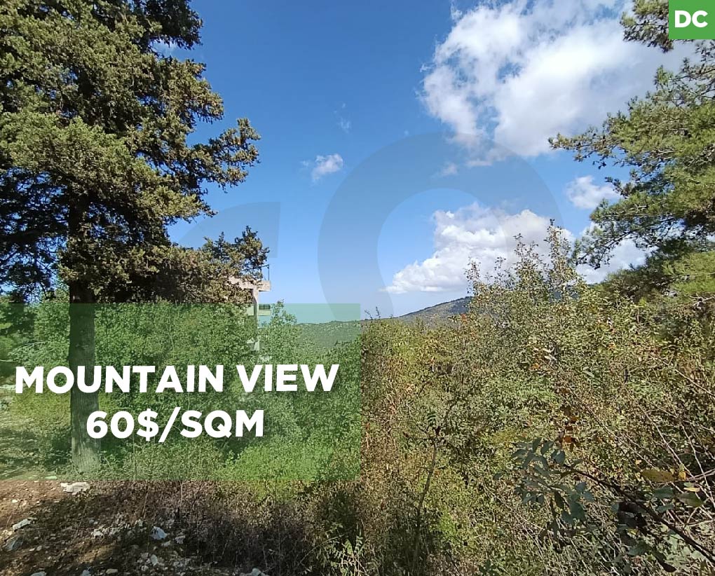 mountain view, great deal, jbeil, zebdine