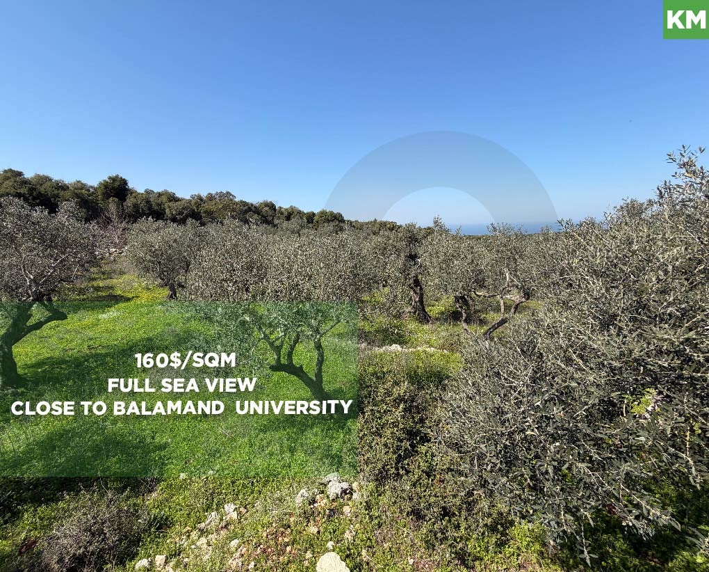 Prime Investment Opportunity, great deal, balamand — photo 1