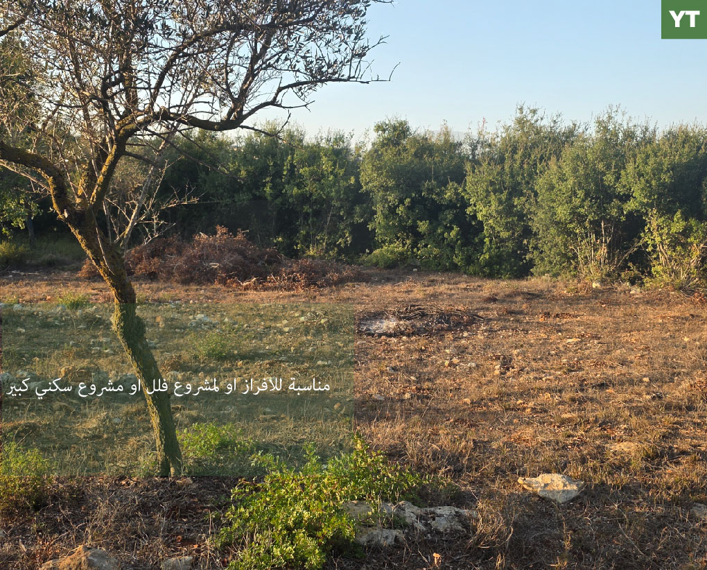 quiet setting/ peaceful atmosphere/Road access /large size/BTERROMINE, KOURA