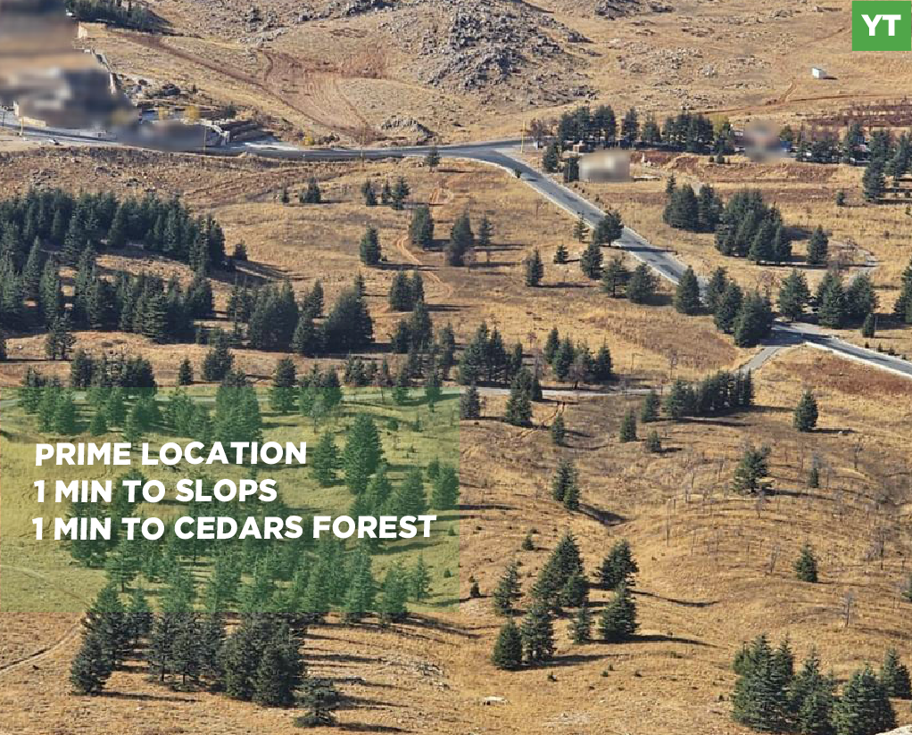 Prime location/excellent accessibility/Located directly on the main road/BECHARRE-ARZ