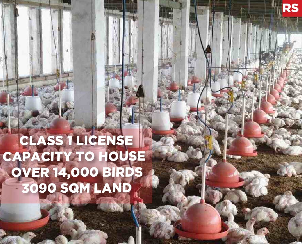 Chicken Farm in Jbeil for sale With class 1 license — photo 1