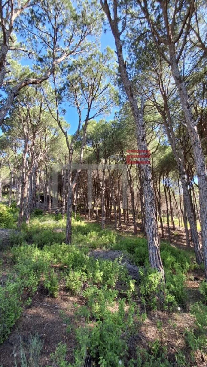 Land for Sale in Broumana