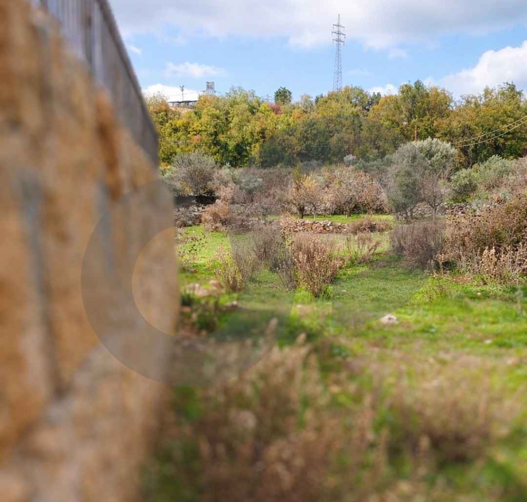 Land - mountain view IN ALEY , AIN JDIDE ! — الصورة 3