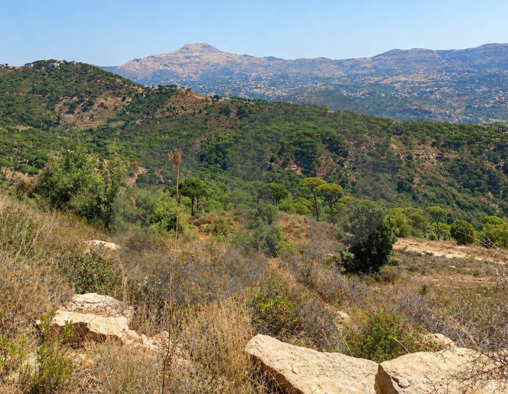 spacious/mountains and nature views/calm area/accessible/RAS EL MATEN,METN — photo 2