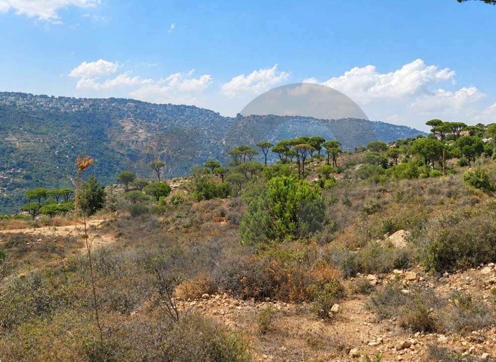 spacious/mountains and nature views/calm area/accessible/RAS EL MATEN,METN — photo 3
