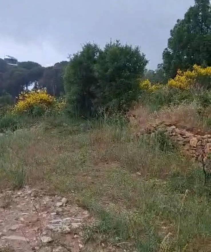 Land for Sale in Douma — الصورة 2