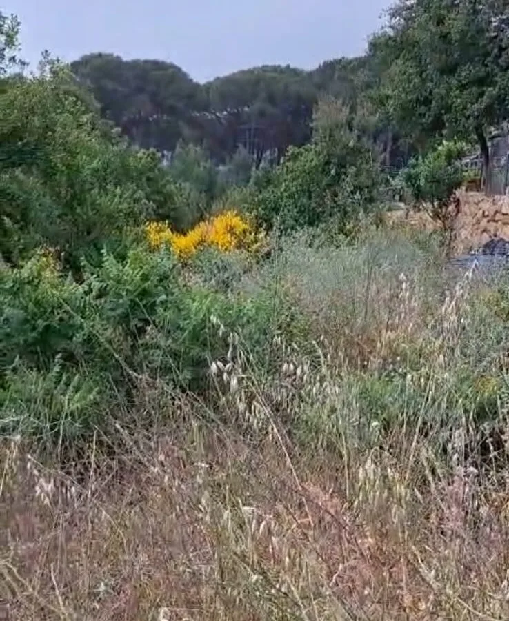 Land for Sale in Douma — الصورة 3