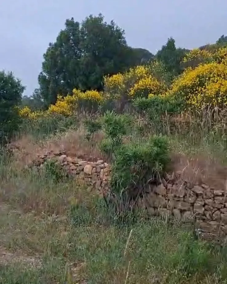 Land for Sale in Douma — الصورة 4