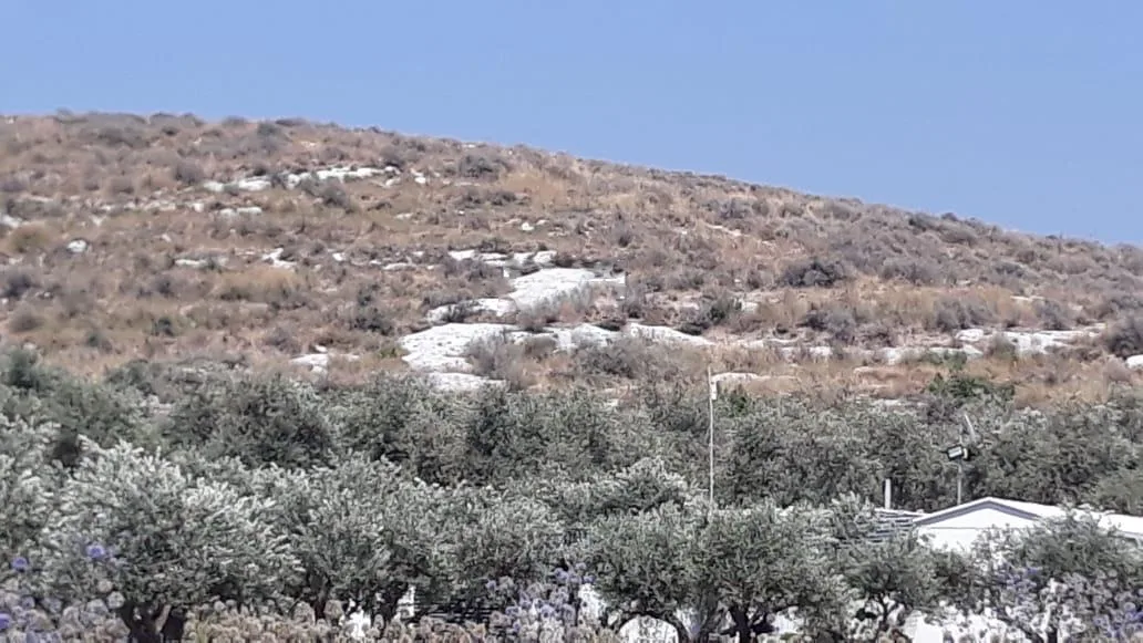 Land for Rent in Koura, Lebanon
