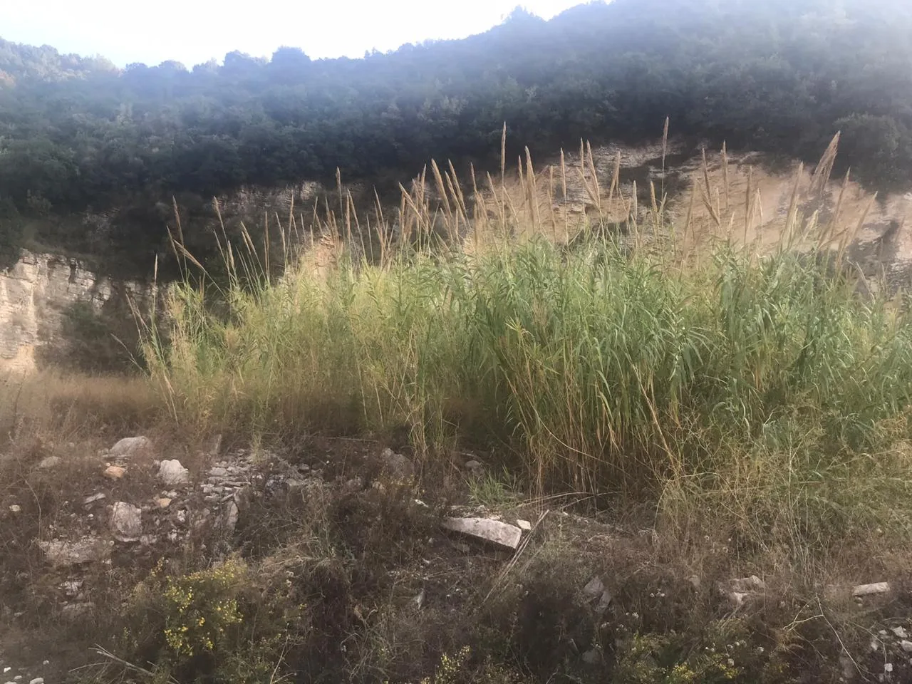 Land for Sale in Halat , Lebanon — الصورة 1