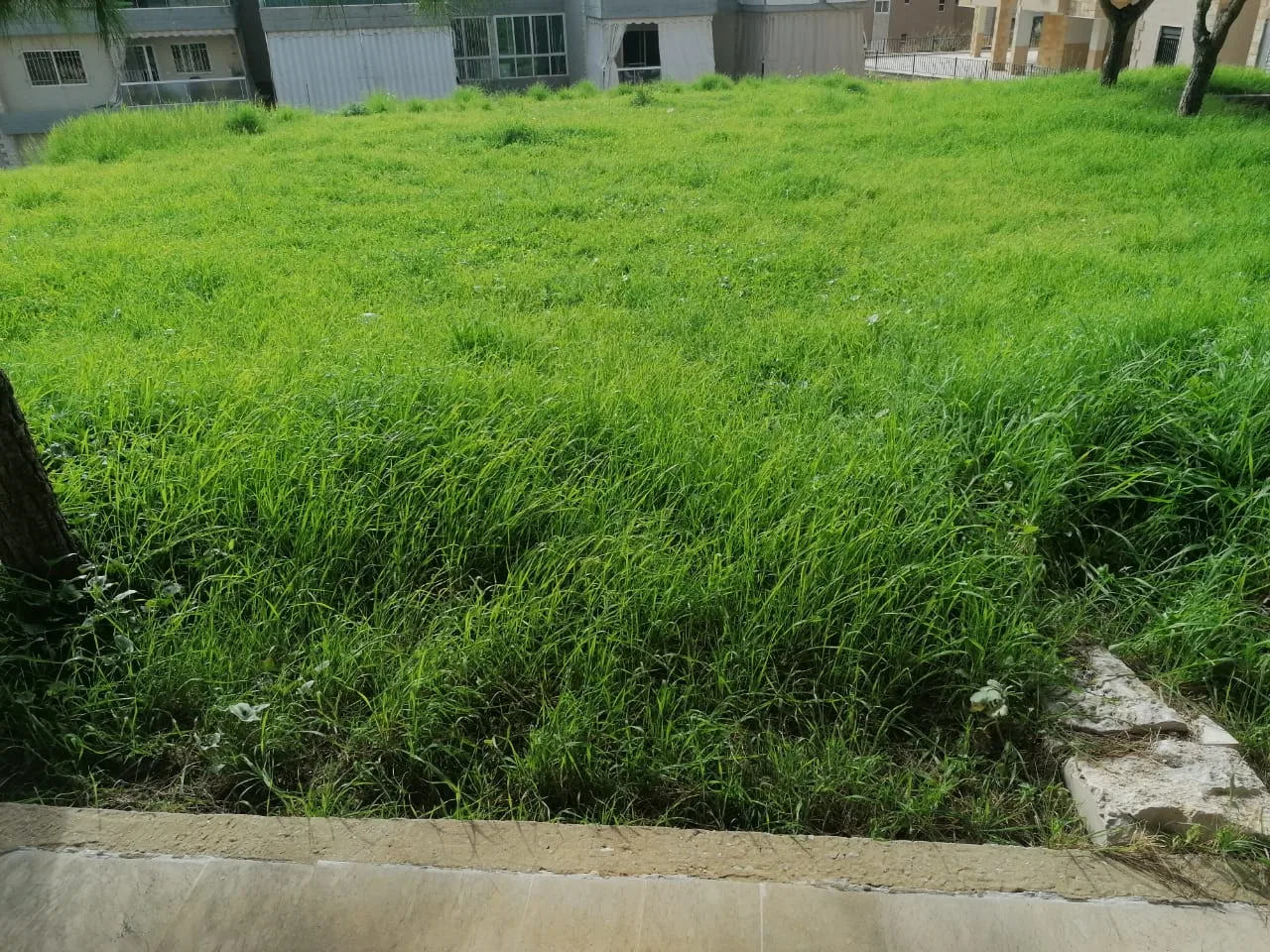 Apartment for Sale in Aamchit, Lebanon — الصورة 8