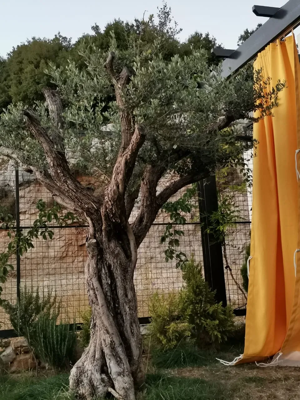 Triplex for Sale in Mechmech, Lebanon — الصورة 5