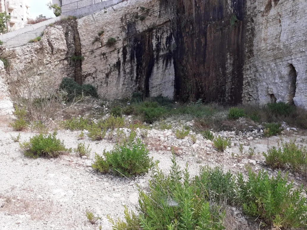 Land for Sale in Aaqbiyeh, Lebanon — الصورة 5