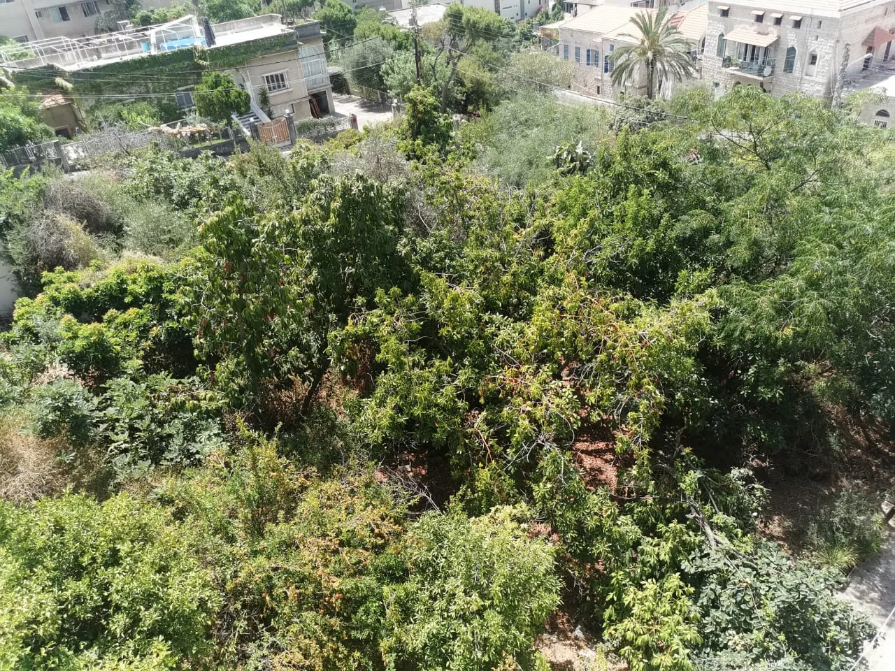 Land for Sale in Ghazir, Lebanon — الصورة 3