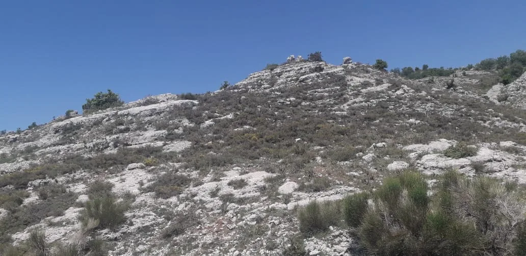Land for Sale in Mtein, Lebanon — الصورة 5