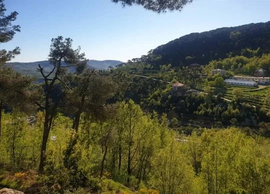 Land for Sale in Baskinta, Lebanon — الصورة 1