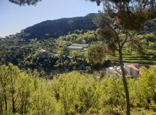 Land for Sale in Baskinta, Lebanon — الصورة 3