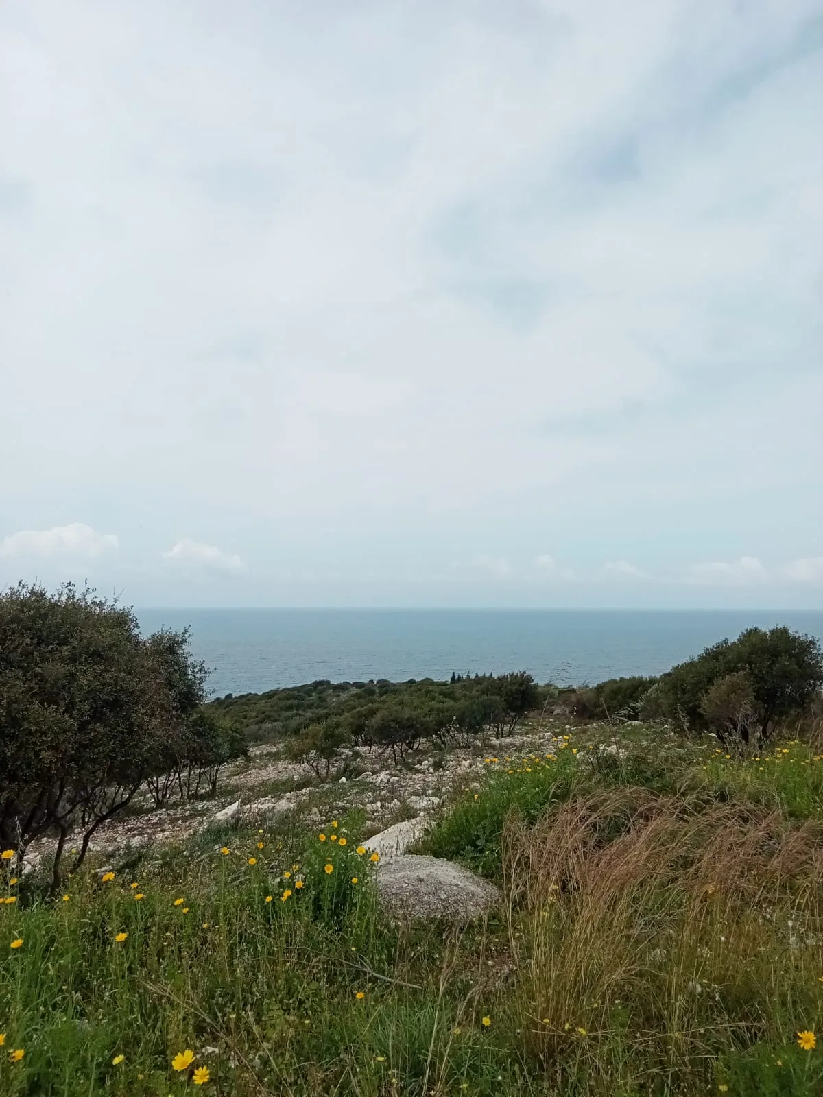 Land for Rent in Berbara