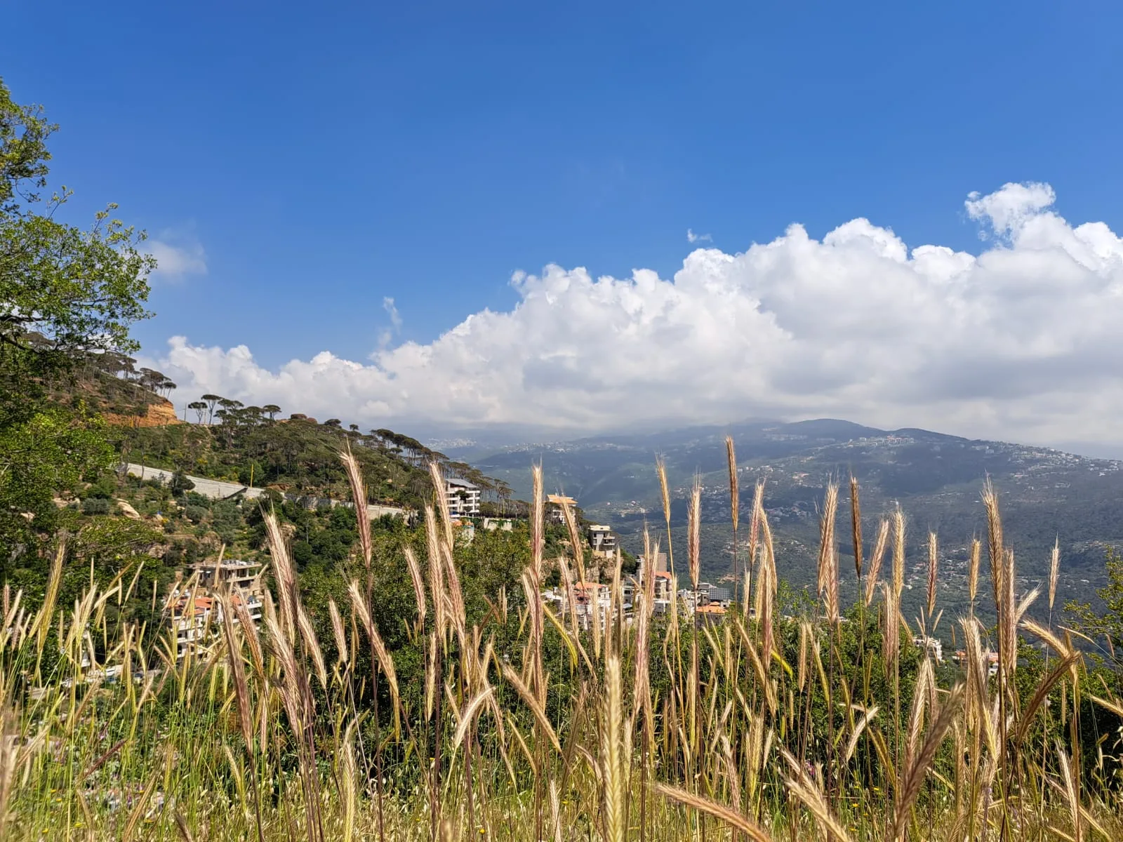 Land for Rent in Zaraoun, Lebanon — photo 3