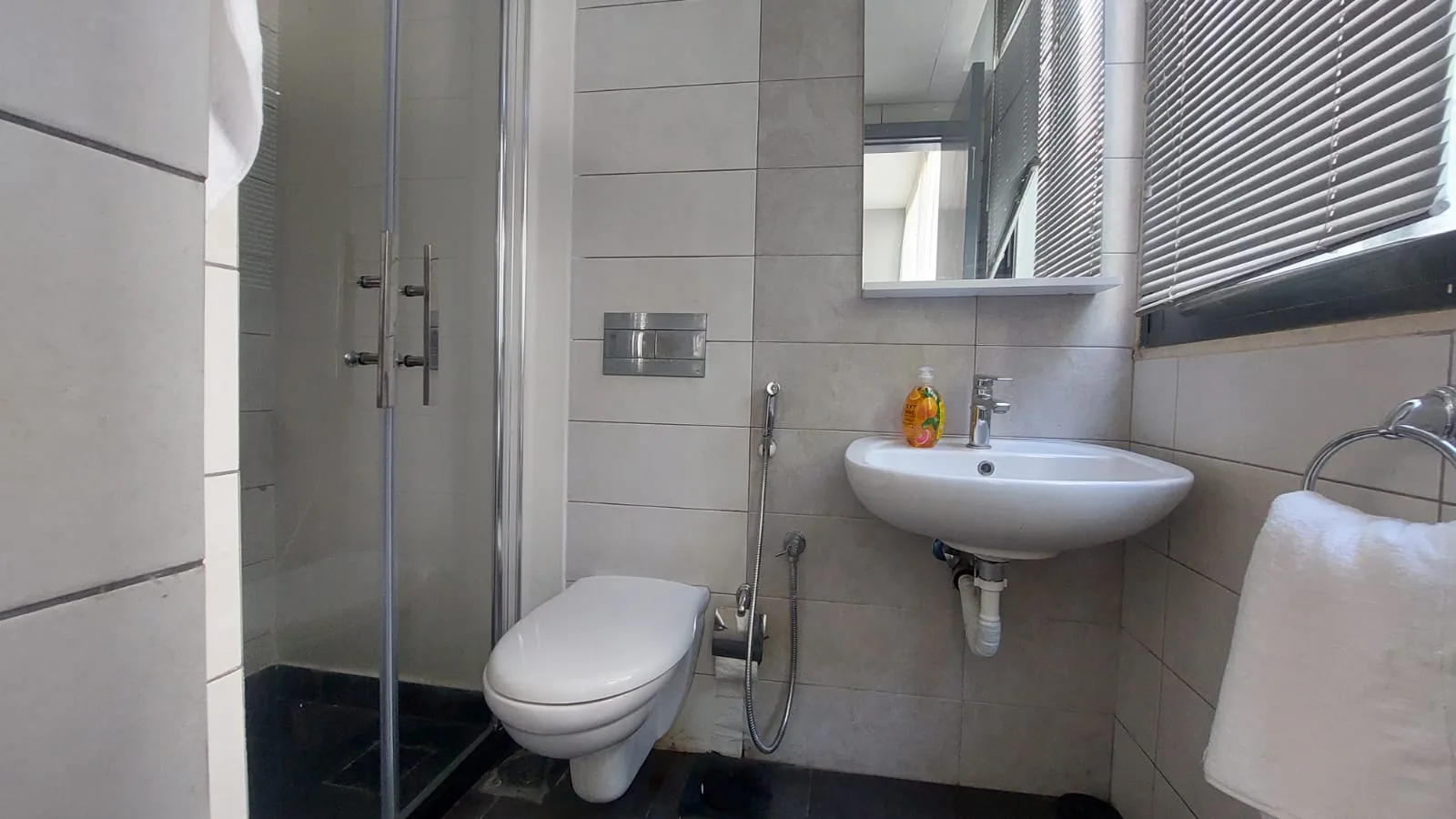 Apartment for Rent in Clemenceau, Beirut, Lebanon — الصورة 4