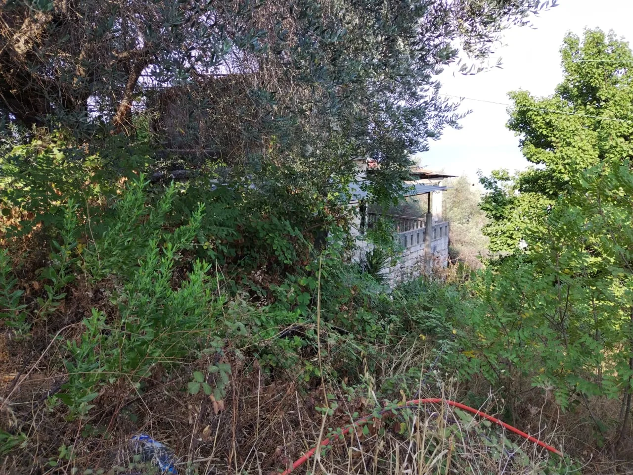 Land for Sale in Chnaneir, Lebanon — الصورة 4