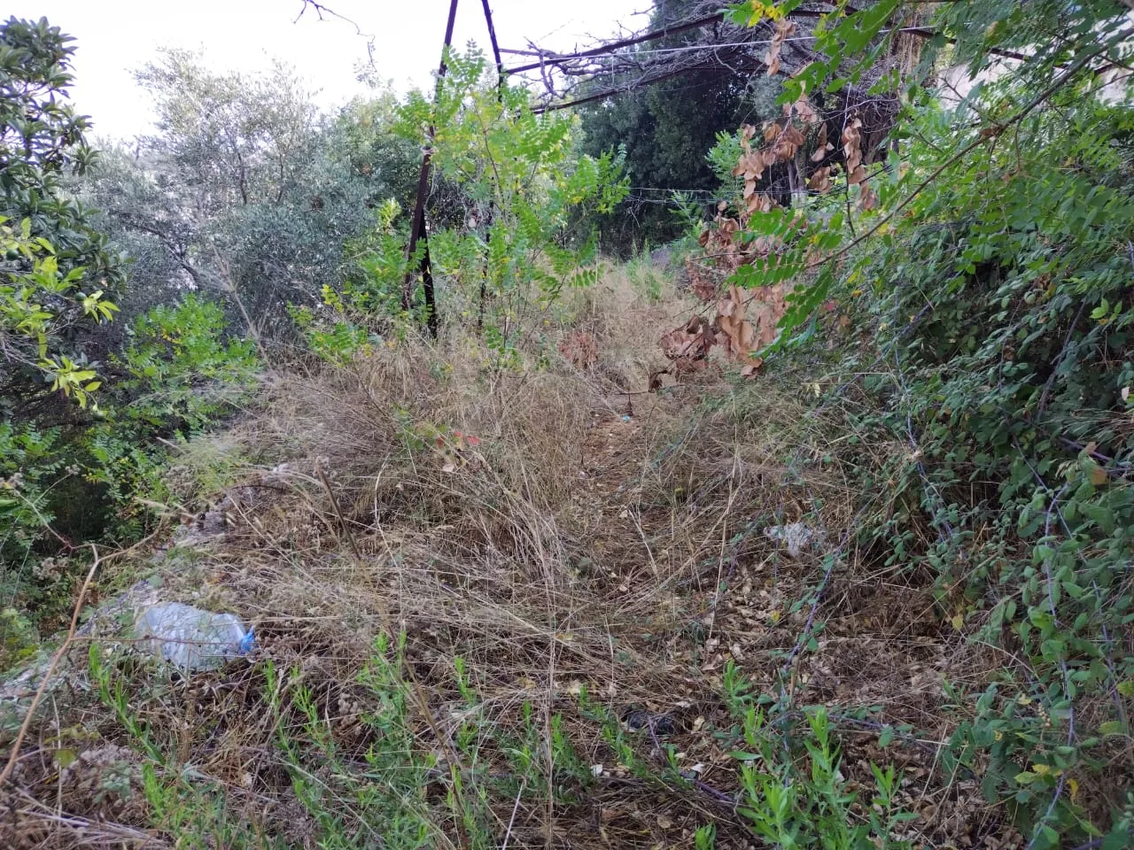 Land for Sale in Chnaneir, Lebanon — الصورة 5