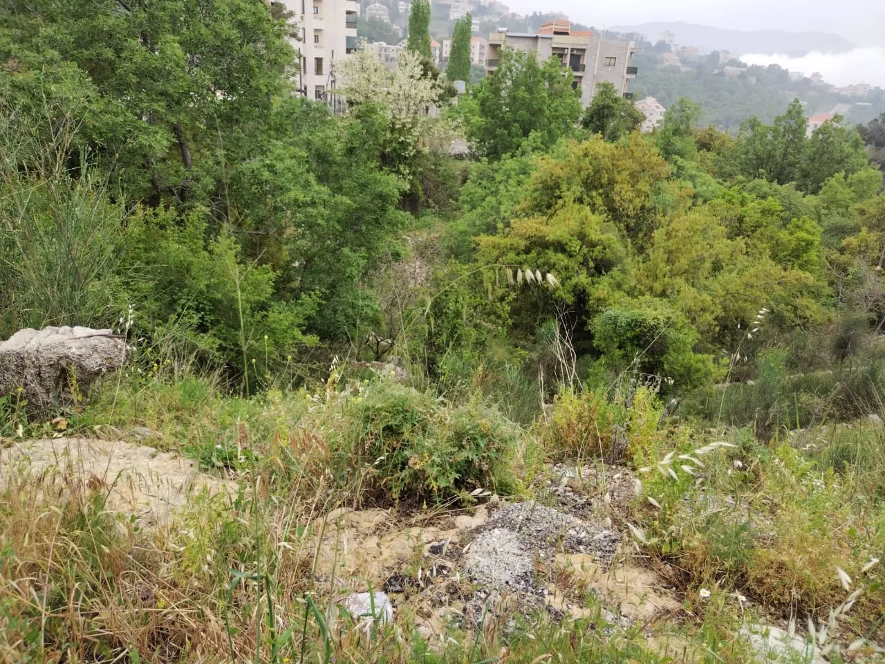 Land for Sale in Rayfoun, Lebanon