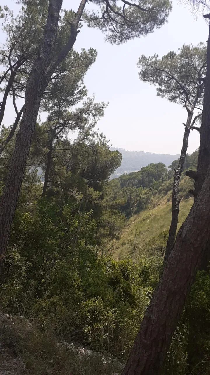 Land for Sale in Baabdat, Lebanon